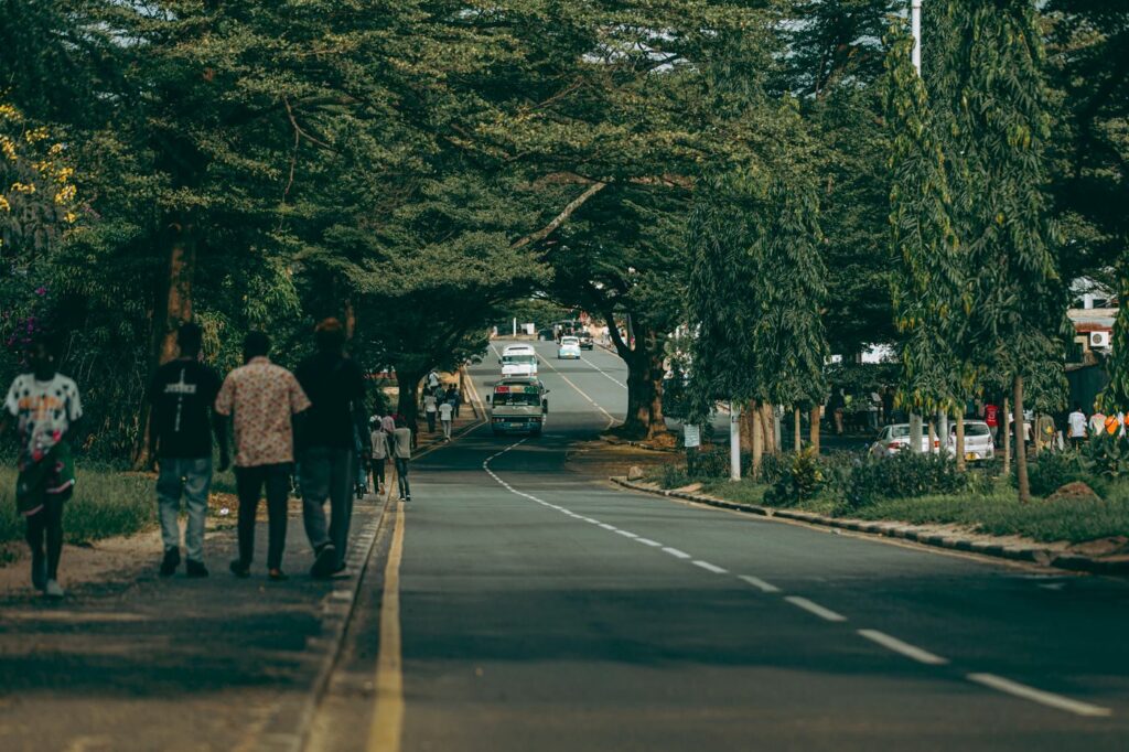 Tree-lined town street with people walking